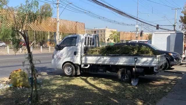 Camión 3/4 para retiro de ramas y desechos de jardín en Maipú
