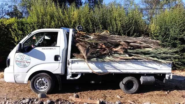 Camión 3/4 para retiro de ramas y poda en Peñalolén con acceso a terreno residencial